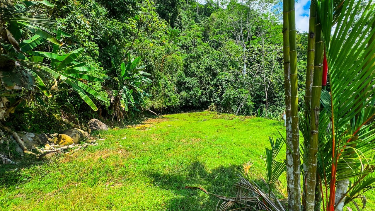 Ocean View Jungle Homesite, Ojochal, Puntarenas