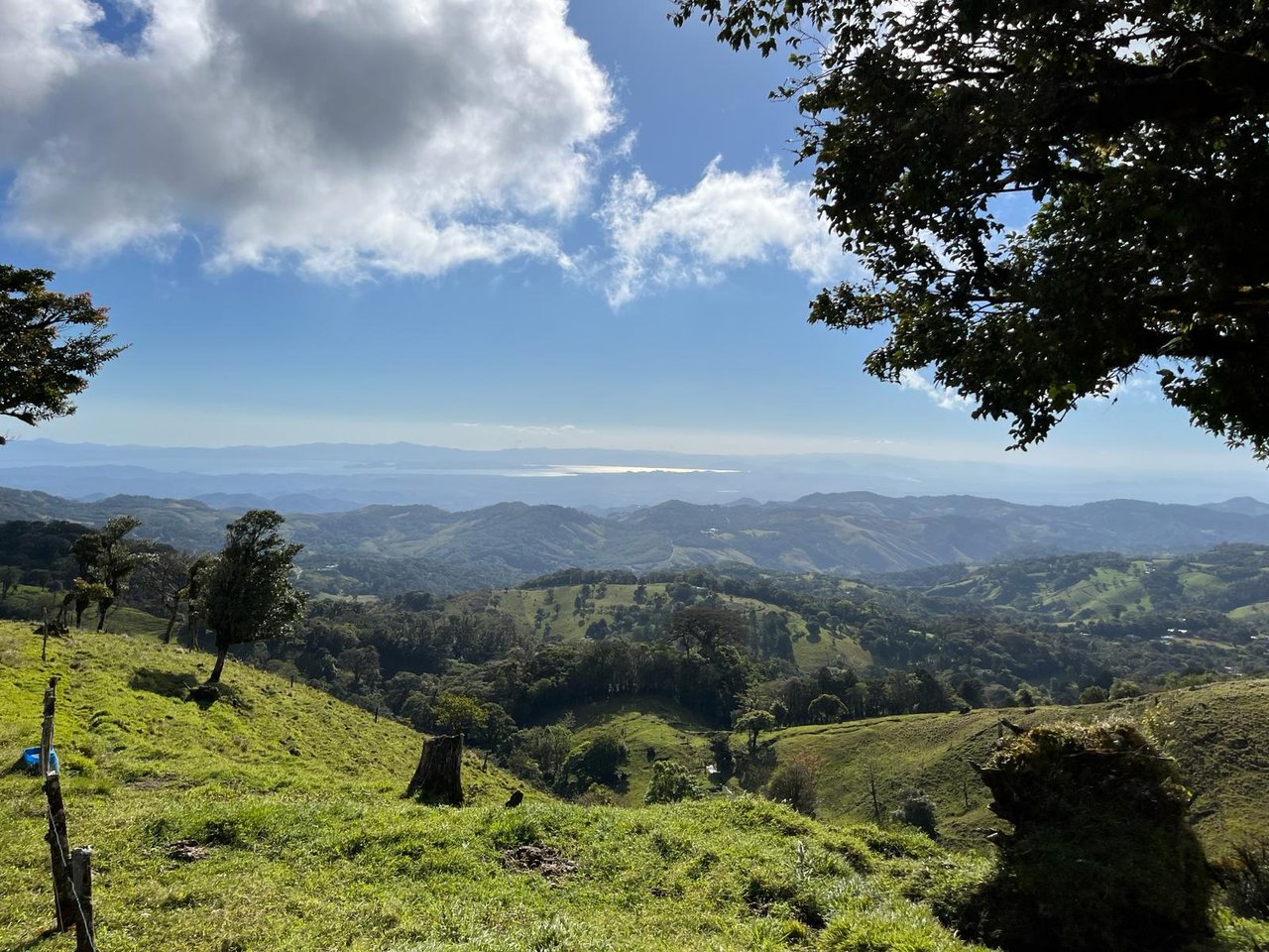 Clover Fields | Prime Development Land with Spectacular Views and Endless Potential near Monteverde