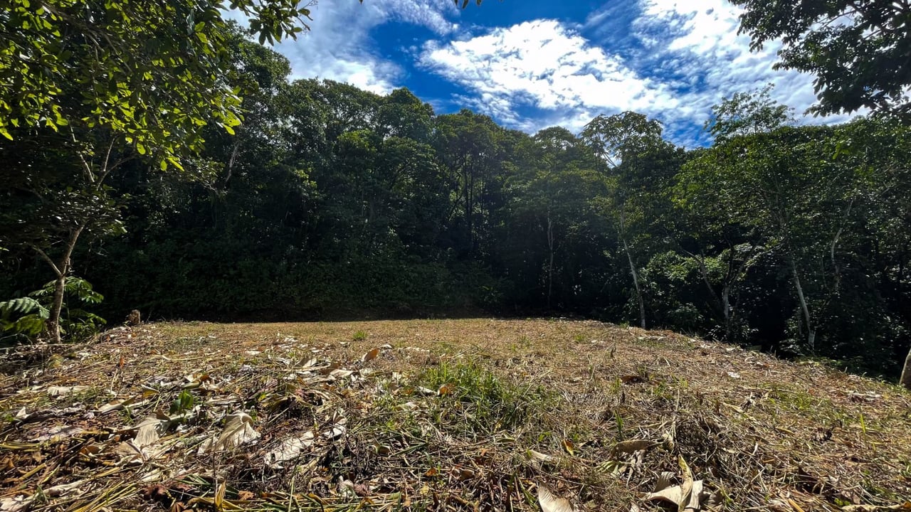Panoramic Ocean View Lot, Dominical, Puntarenas