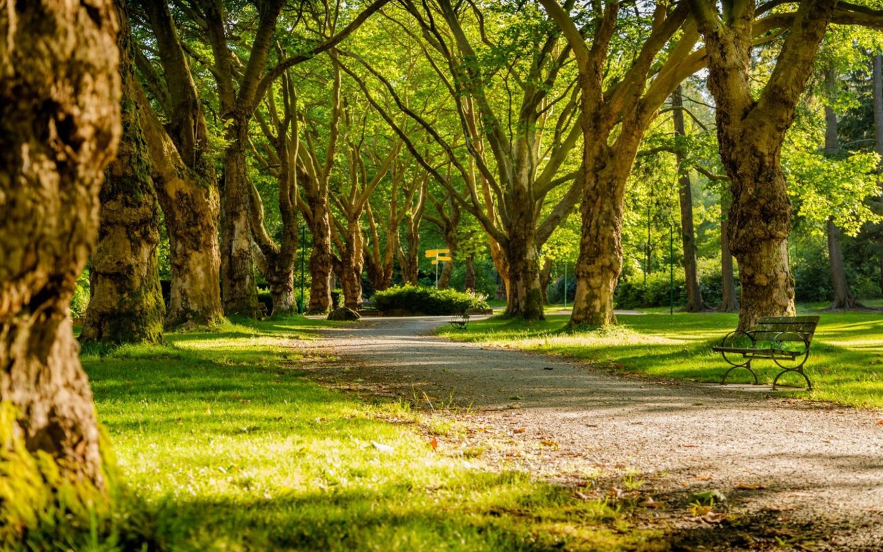 A Guide to Santa Fe Parks