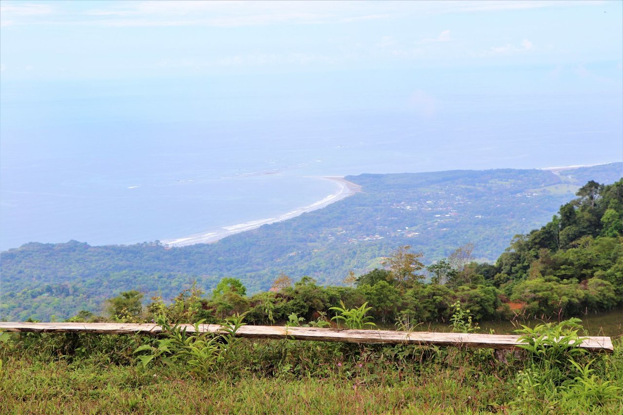 Ocean View Development Farms, Uvita, Puntarenas