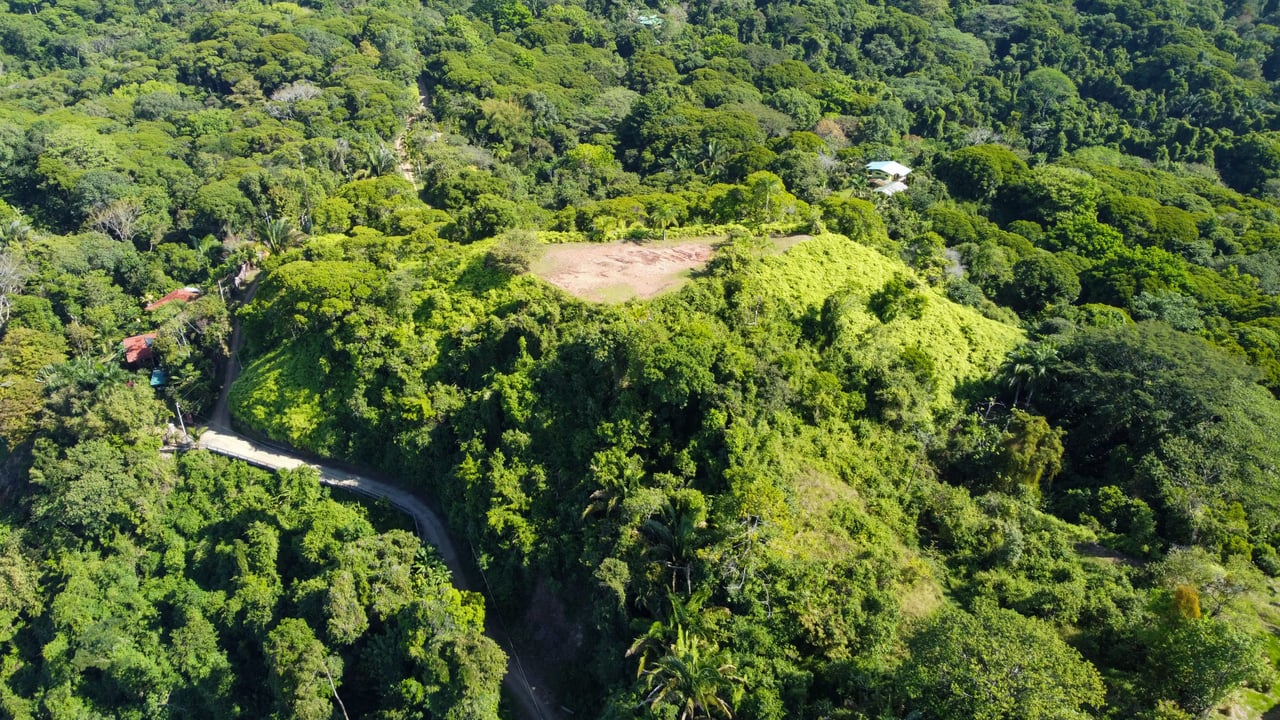 MANGO MANOR RIDGE PREMIER OCEAN VIEW PROPERTY IN DOMINICAL