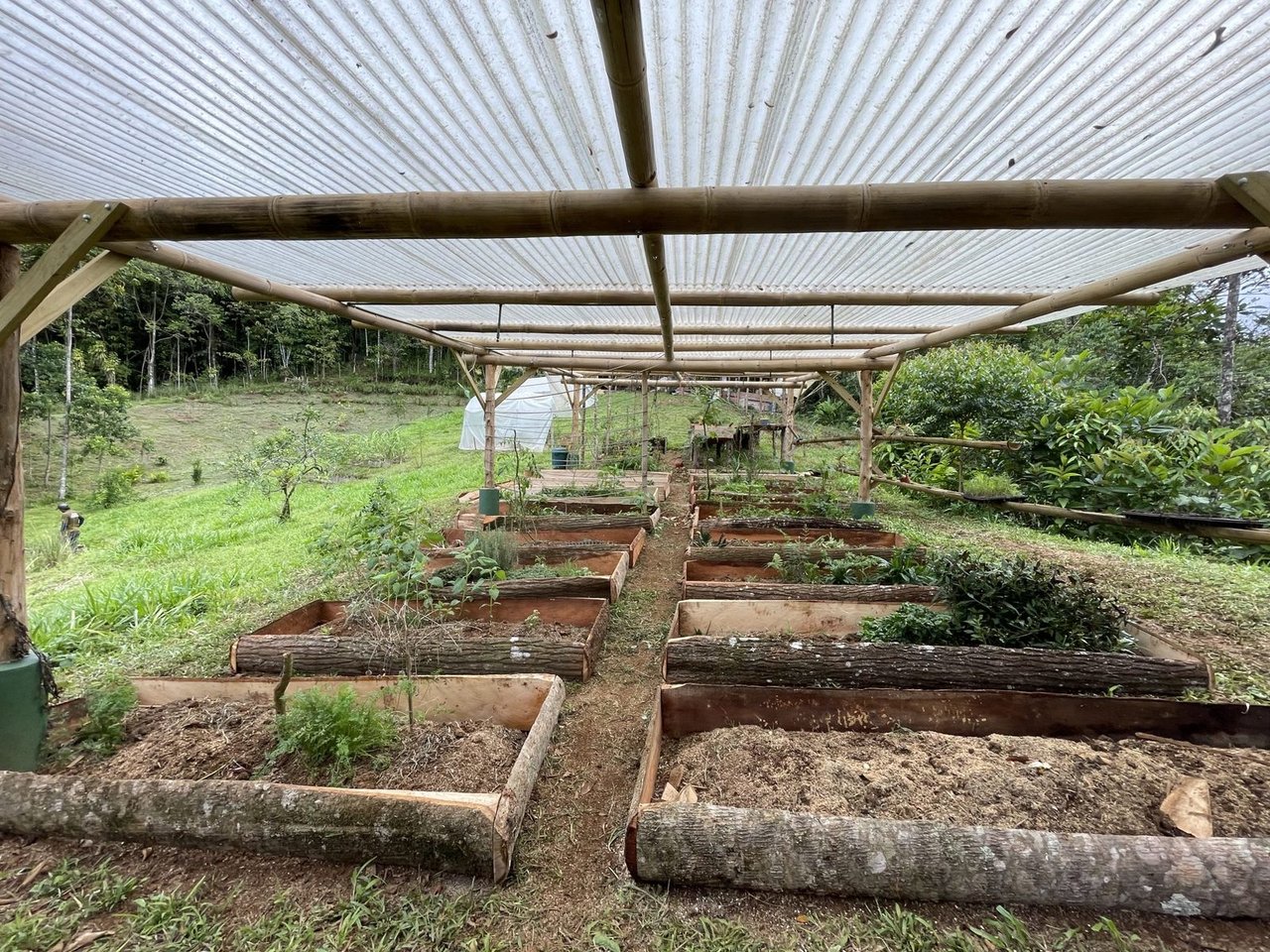 Riverfront Permaculture Farm, Perez Zeledon, San Jose