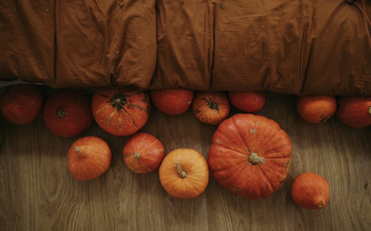 Austin Corn Mazes + Pumpkin Patches This Season