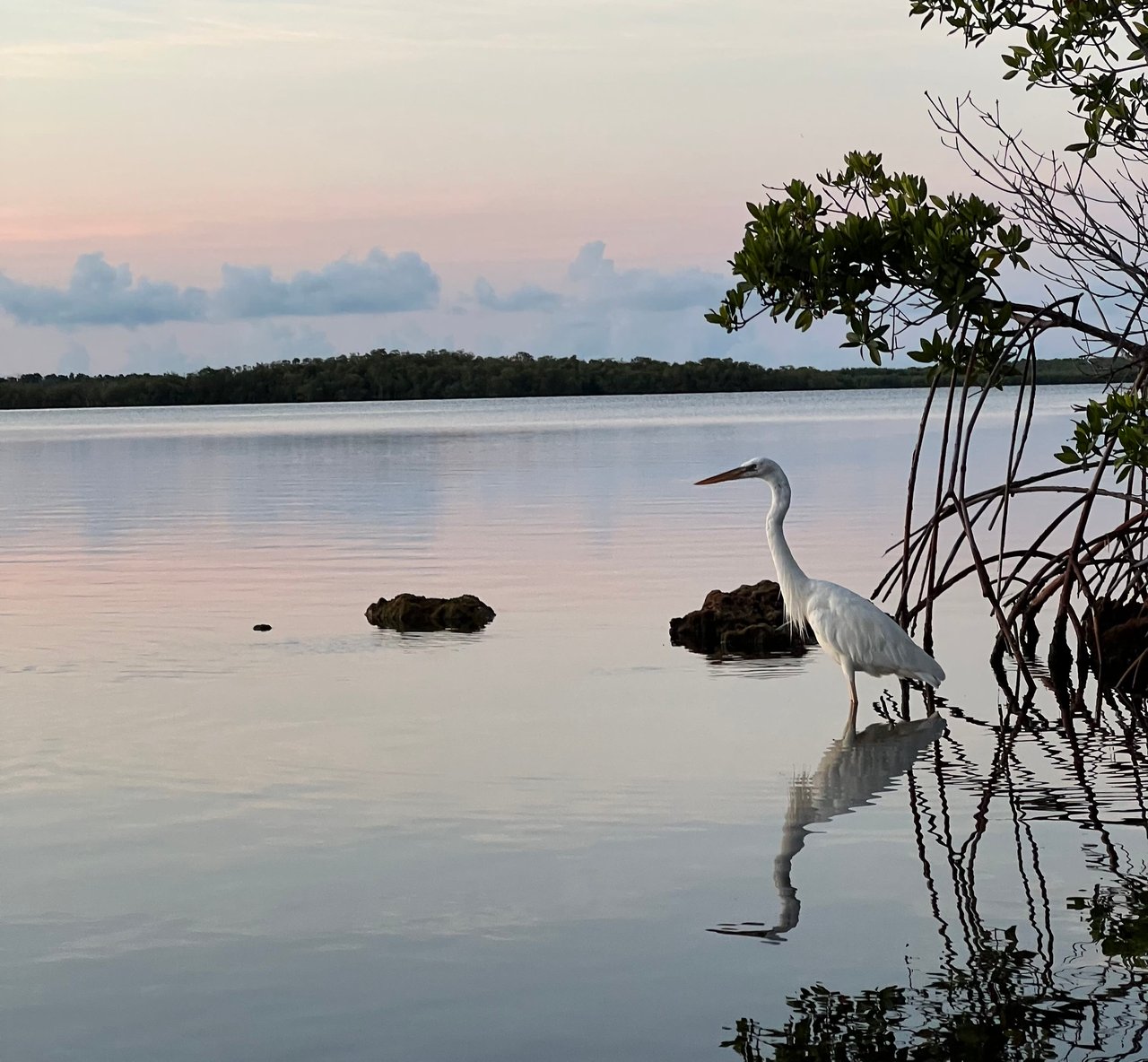 10 Ways to GET ACTIVE in the Florida Keys