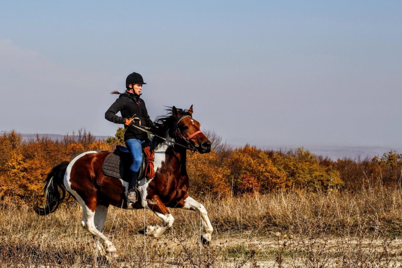 6 Best Destinations for Horseback Riding in Napa Valley