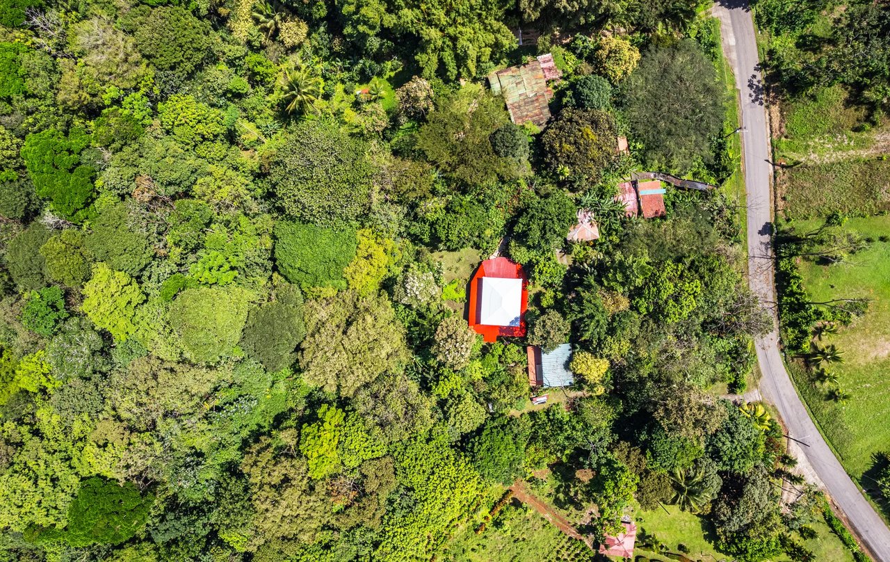 Jungle Compound With River Access, Lake Arenal, Alajuela