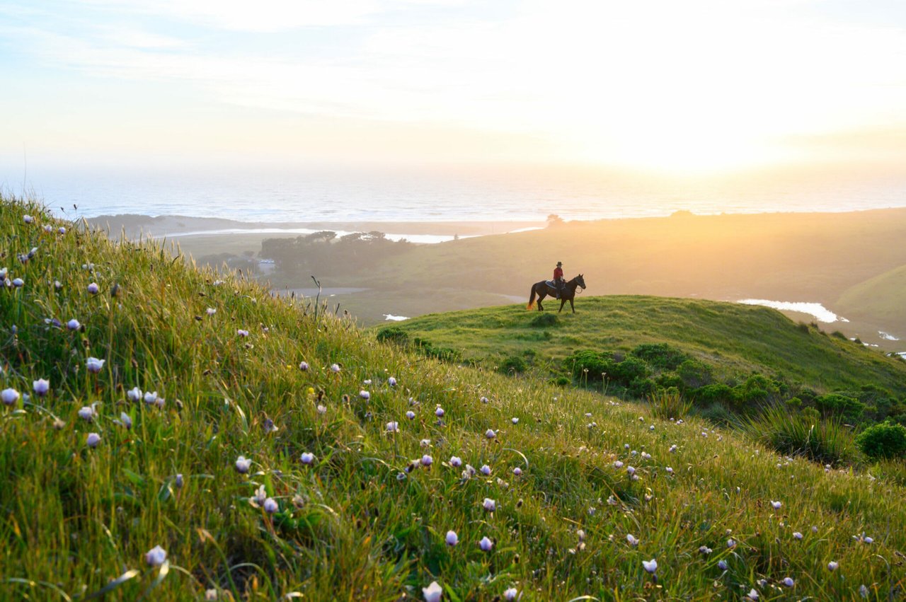 7 Secret Spots Along the Sonoma Coast