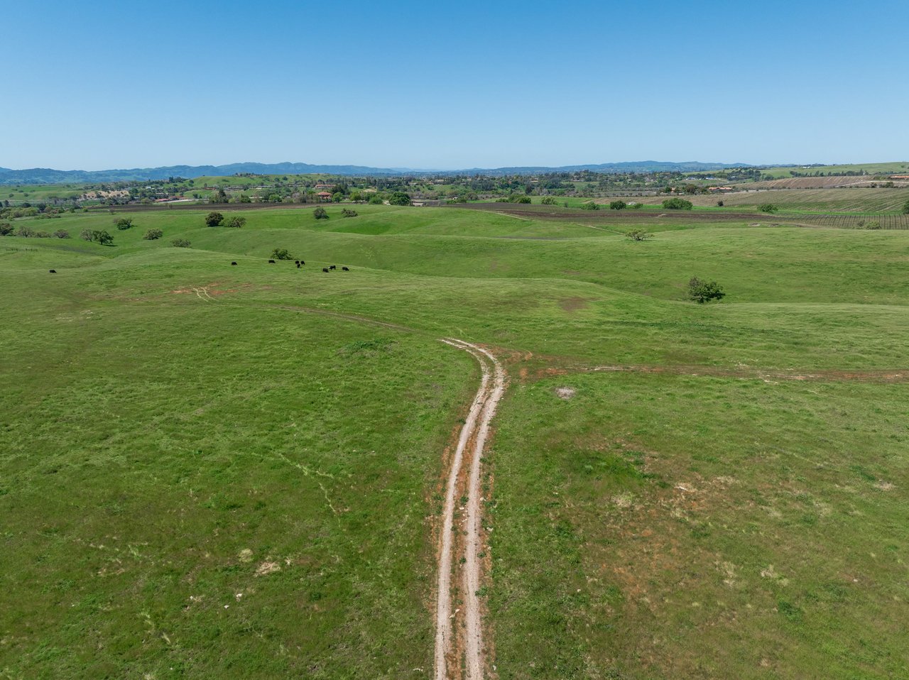 105+/- Magical Acres in Happy Canyon