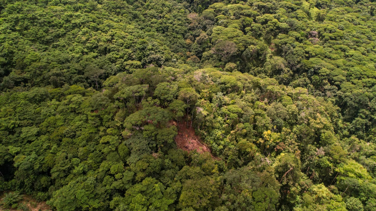 Ocean View Development Parcels, Dominical, Puntarenas