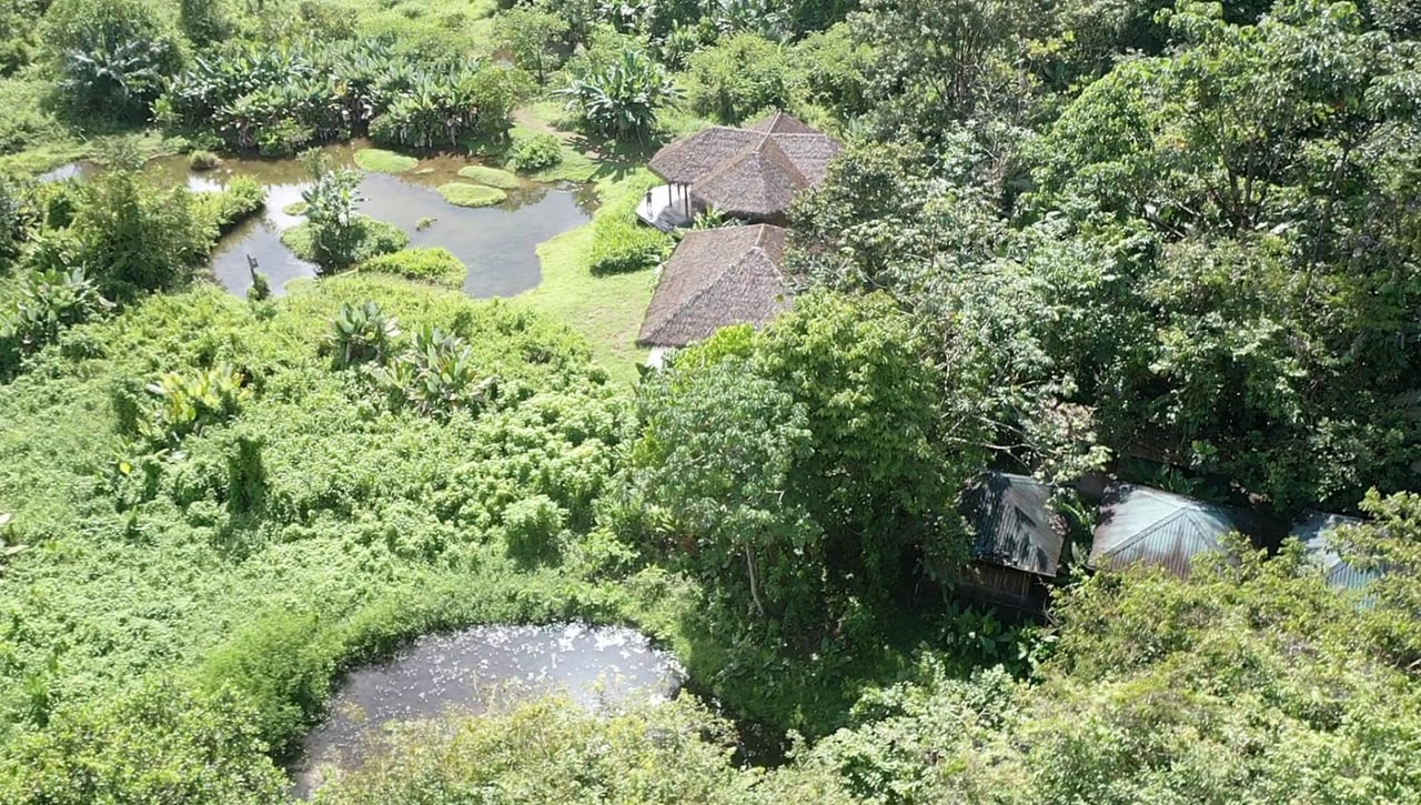 Sustainable Conservation Retreat, Osa, Puntarenas