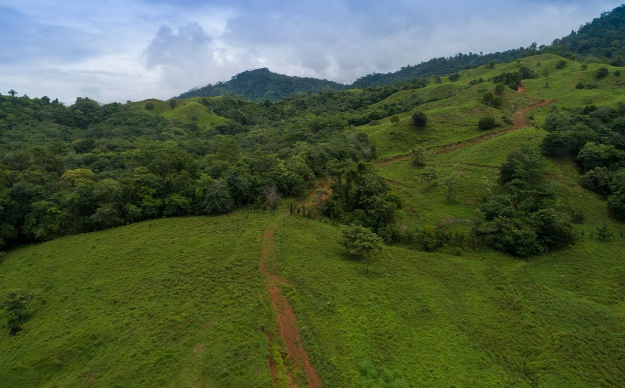 Beachfront Development Land, Dominical, Puntarenas