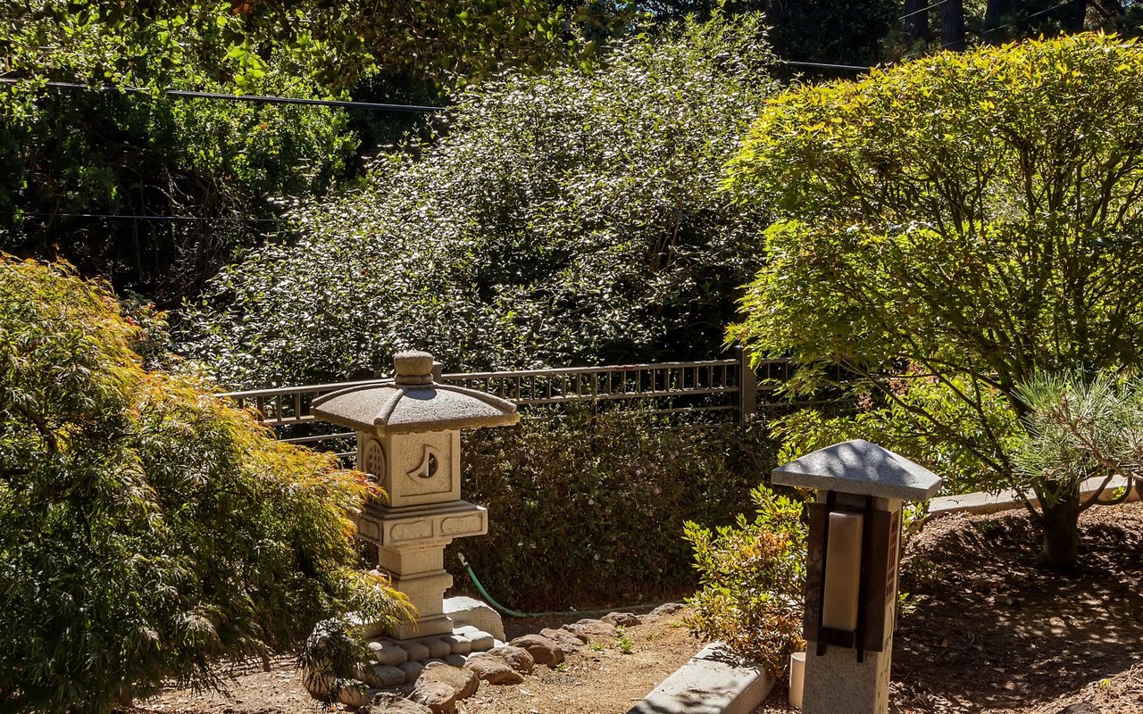 1 Camellia Ln