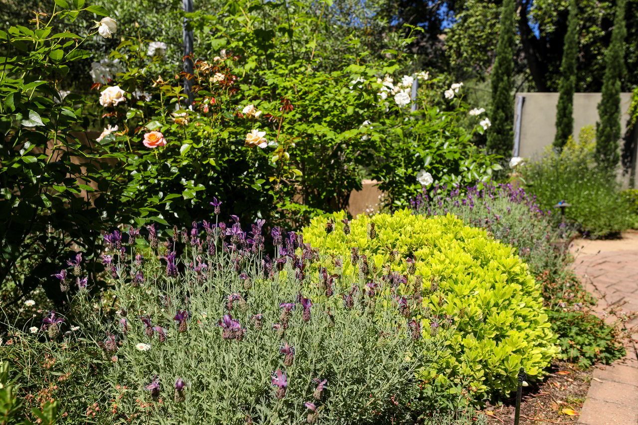 Lucas Valley Estates