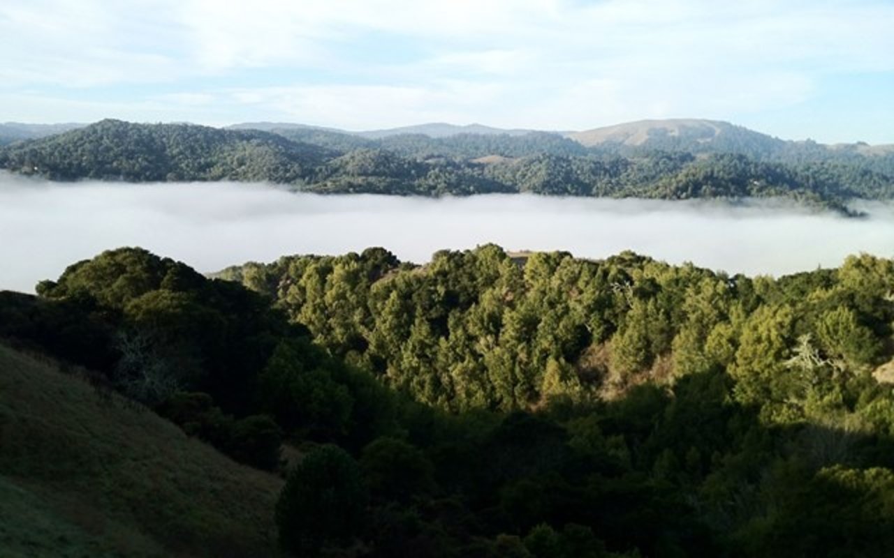 184 Oak Springs Drive, San Anselmo