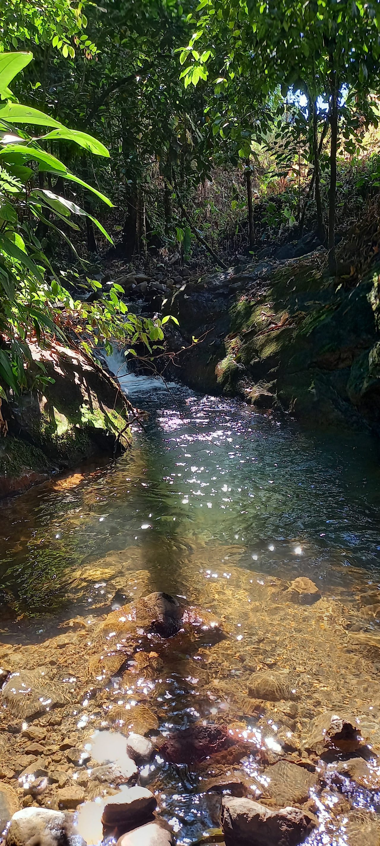 Osa Peninsula Magic 