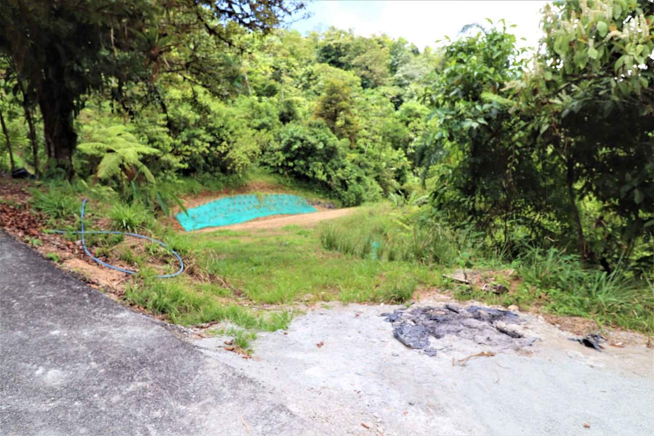 Easy Access, 60 acre farm with 10 building sites and waterfall.