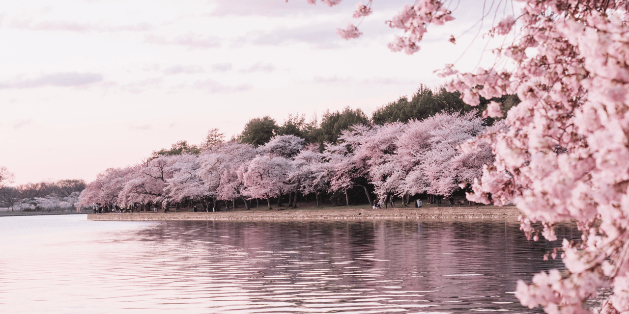 April 2020 Newsletter