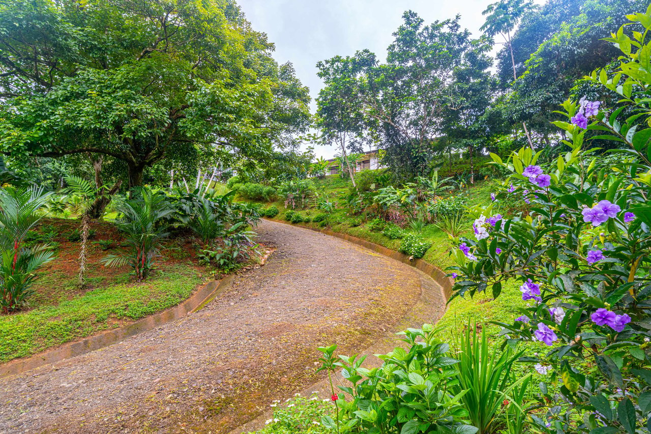 Cascada Sandalo View Stopper