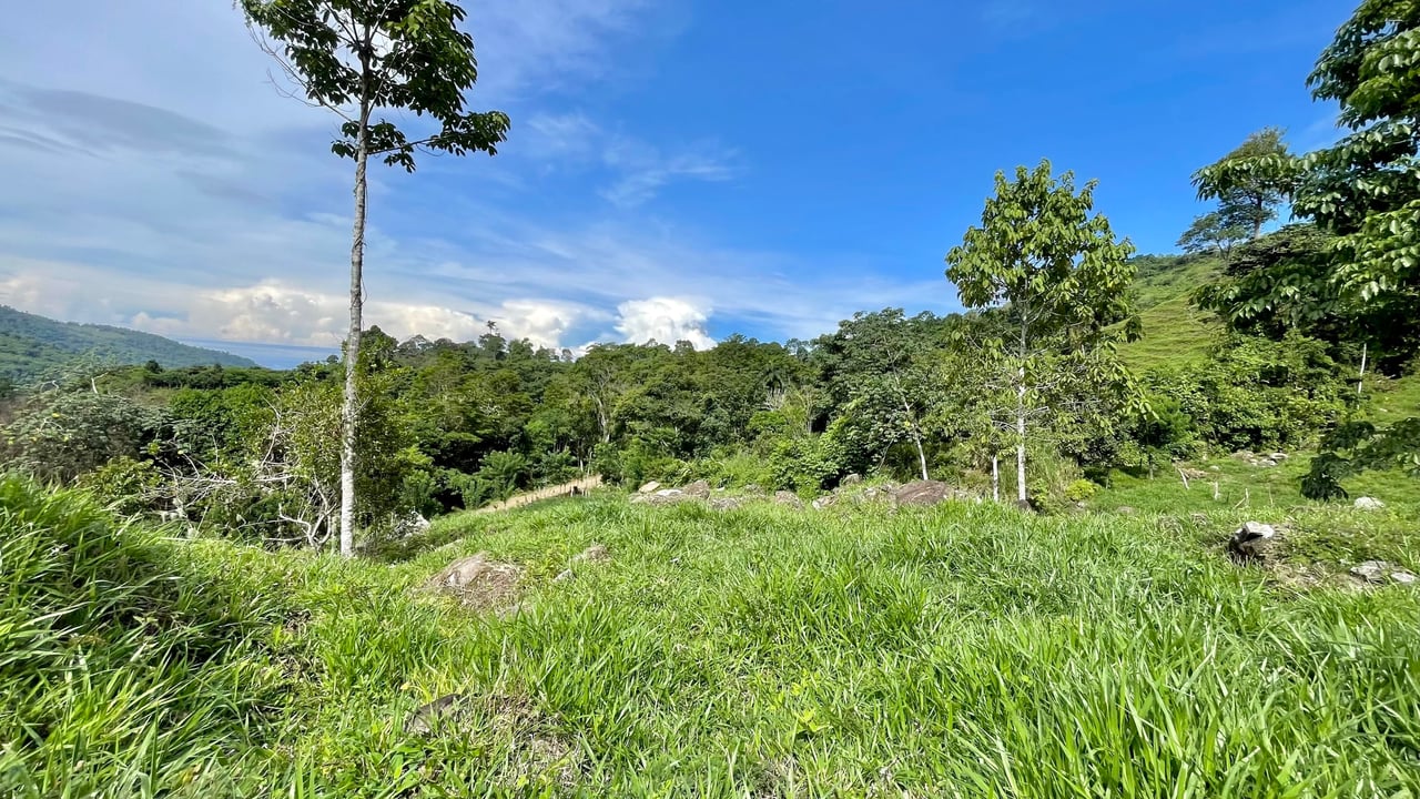 Stunning Ocean View Farm in San Luis de Morete, Over 23 Acres