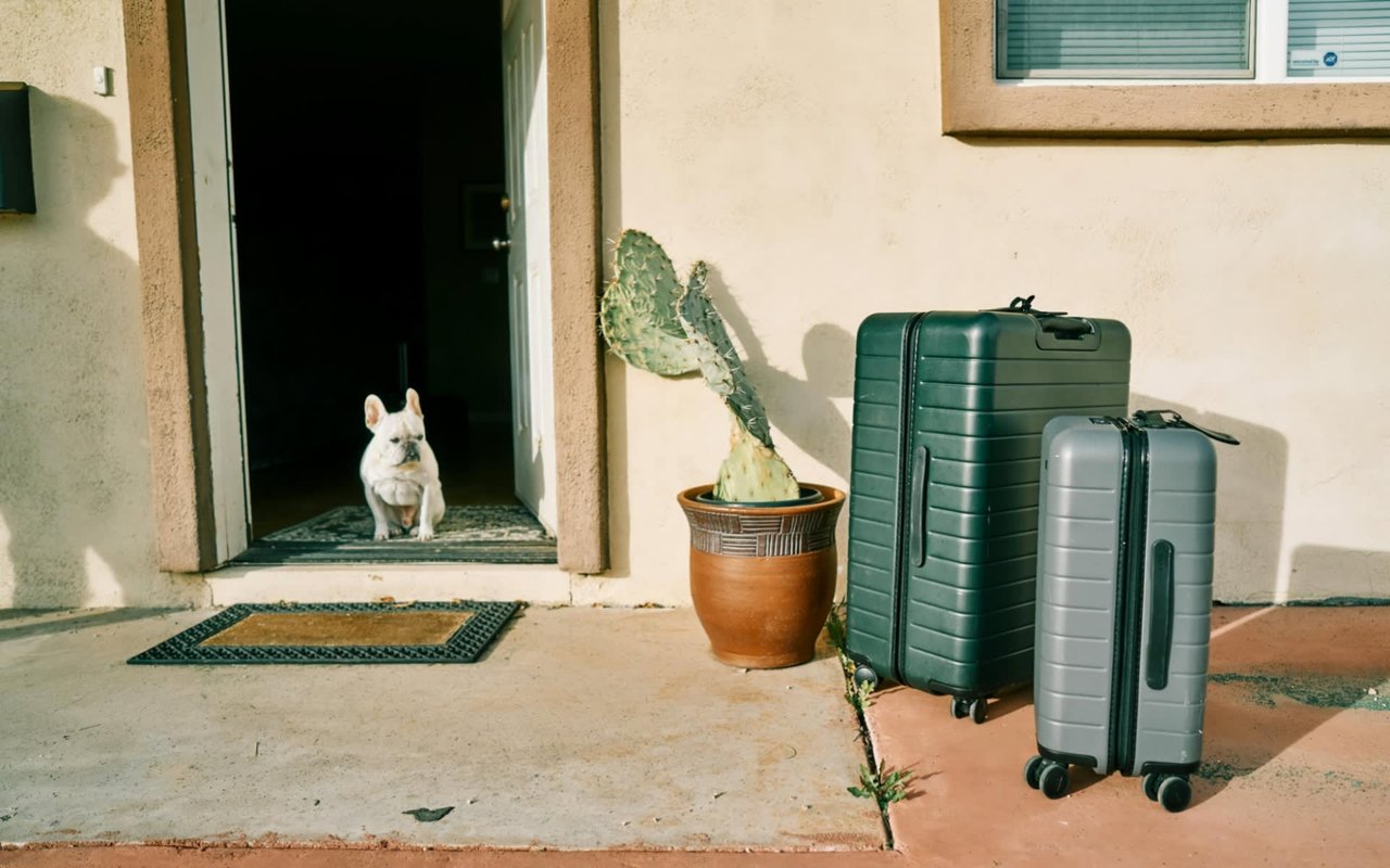 12 Tips for Moving with Pets