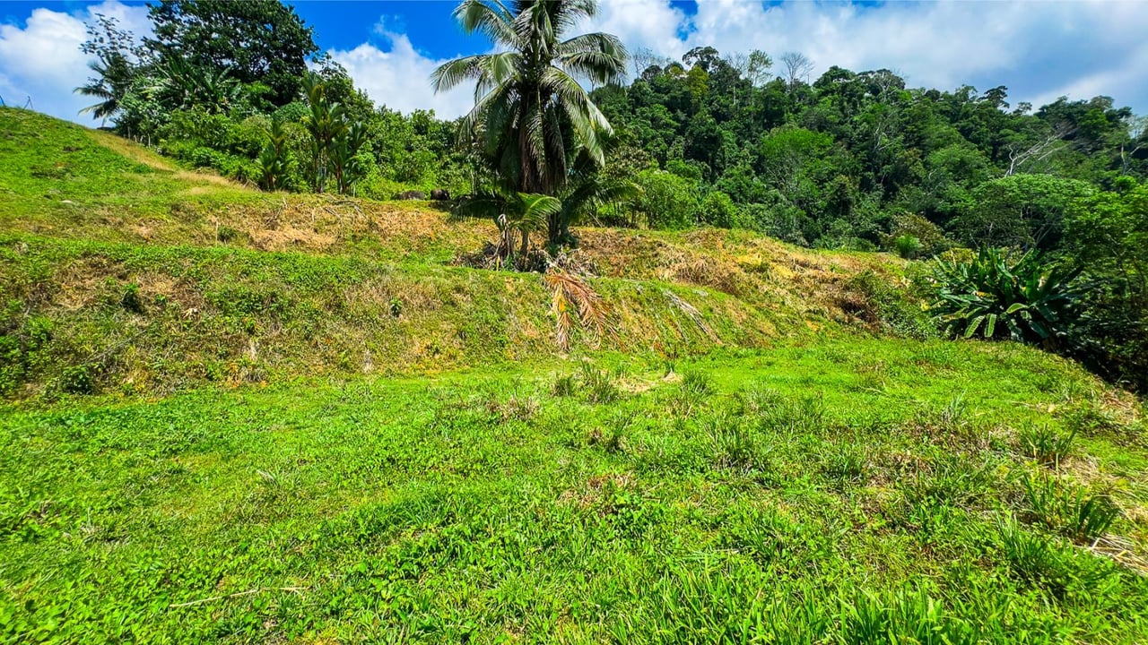 Exclusive Ocean View Building Lot, Ojochal, Puntarenas