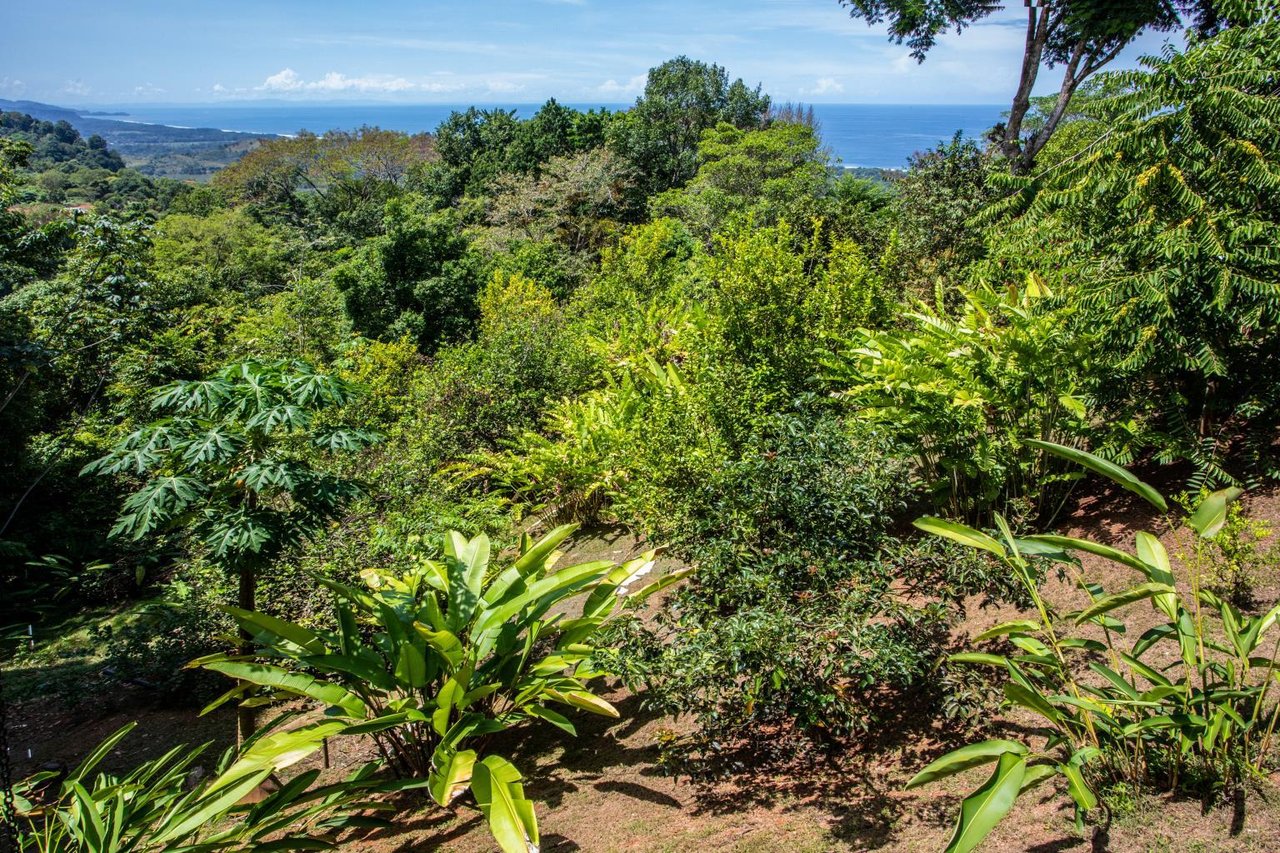 Incredible 7,000 Ft2 Ocean View Home With 200 Acre Reserve!