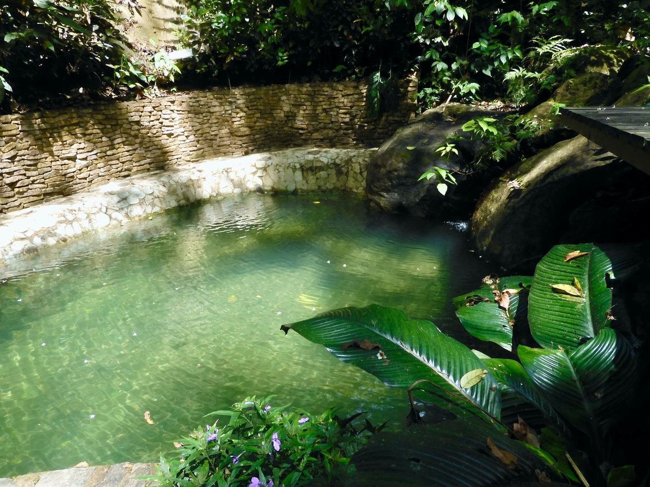 Mountain View Wellness Retreat, Perez Zeledon, San Jose