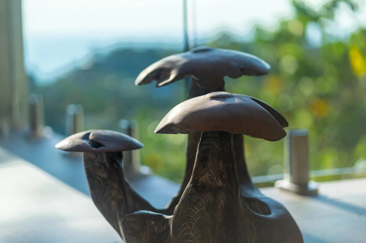 Rooftop Pool Modern Luxury Estate, Manuel Antonio, Puntarenas