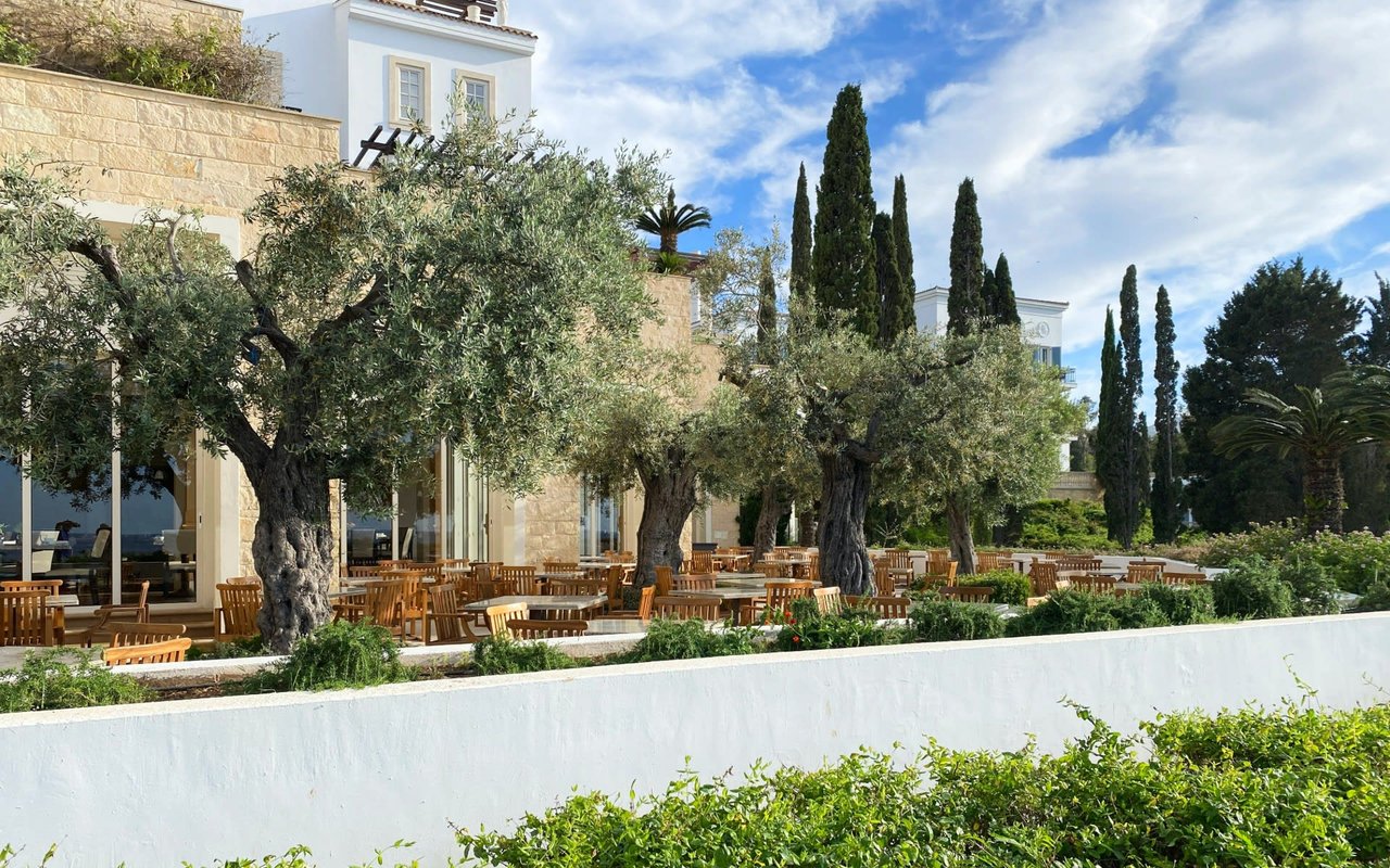 Discover Napa Valley Vineyards