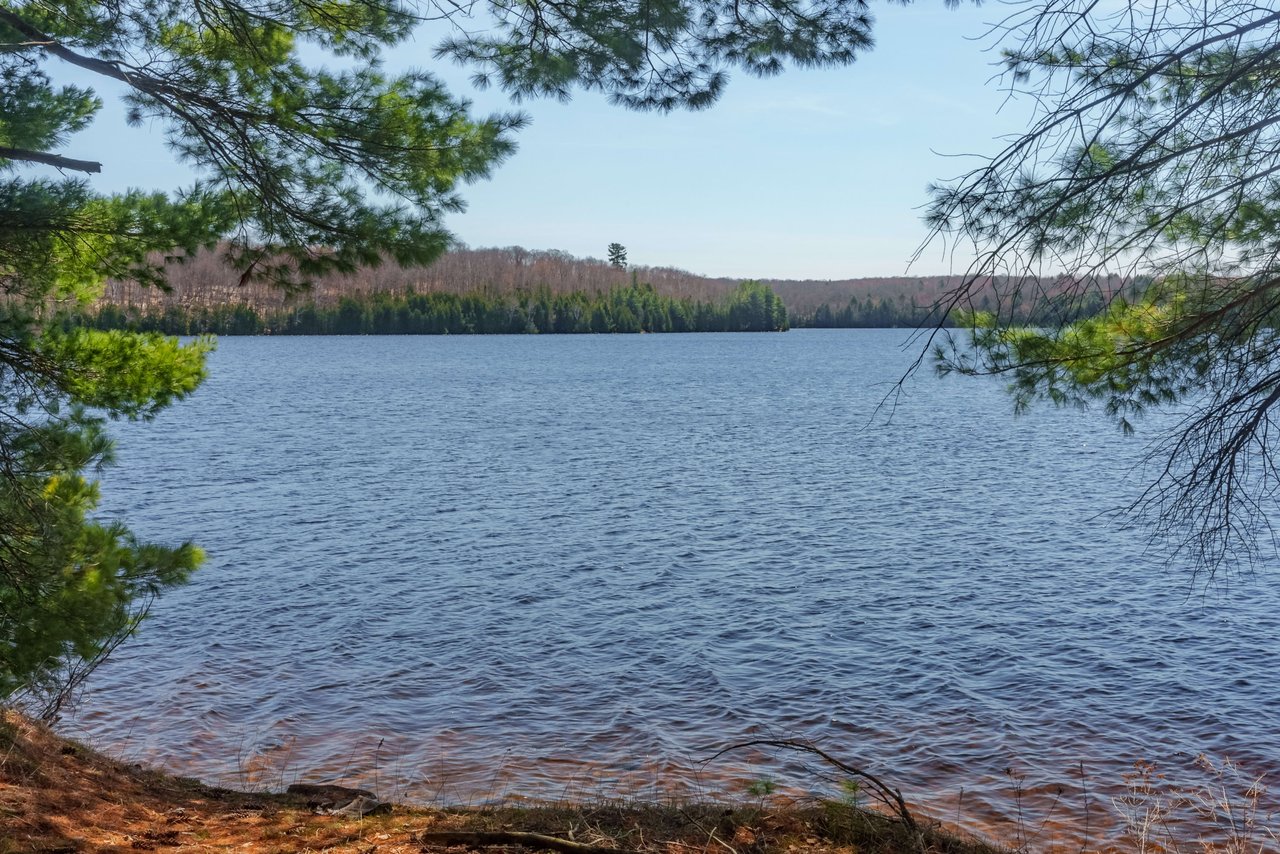 Fern Glen Road Round Lake 