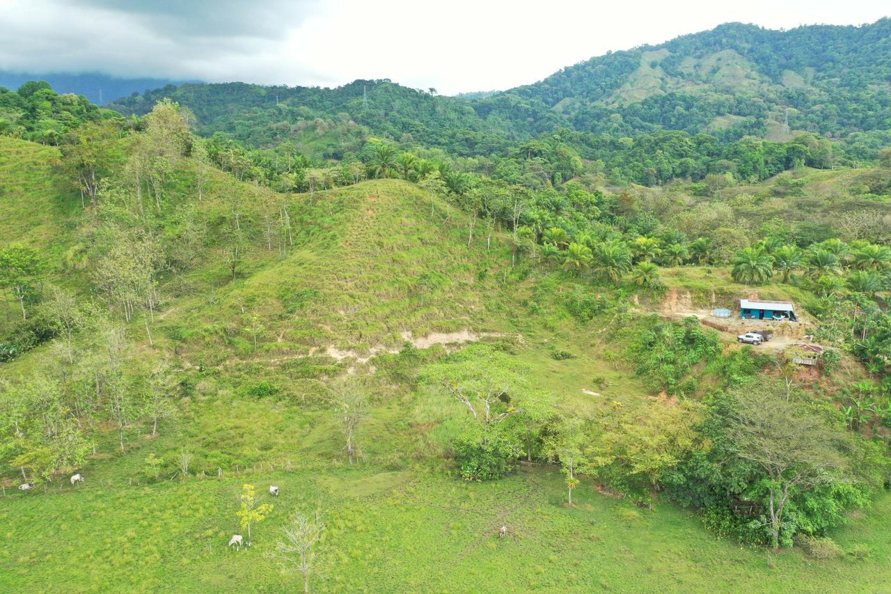 Prime 286-Acre Ocean View Property for Sale Near Quepos, Costa Rica – Ideal for Development