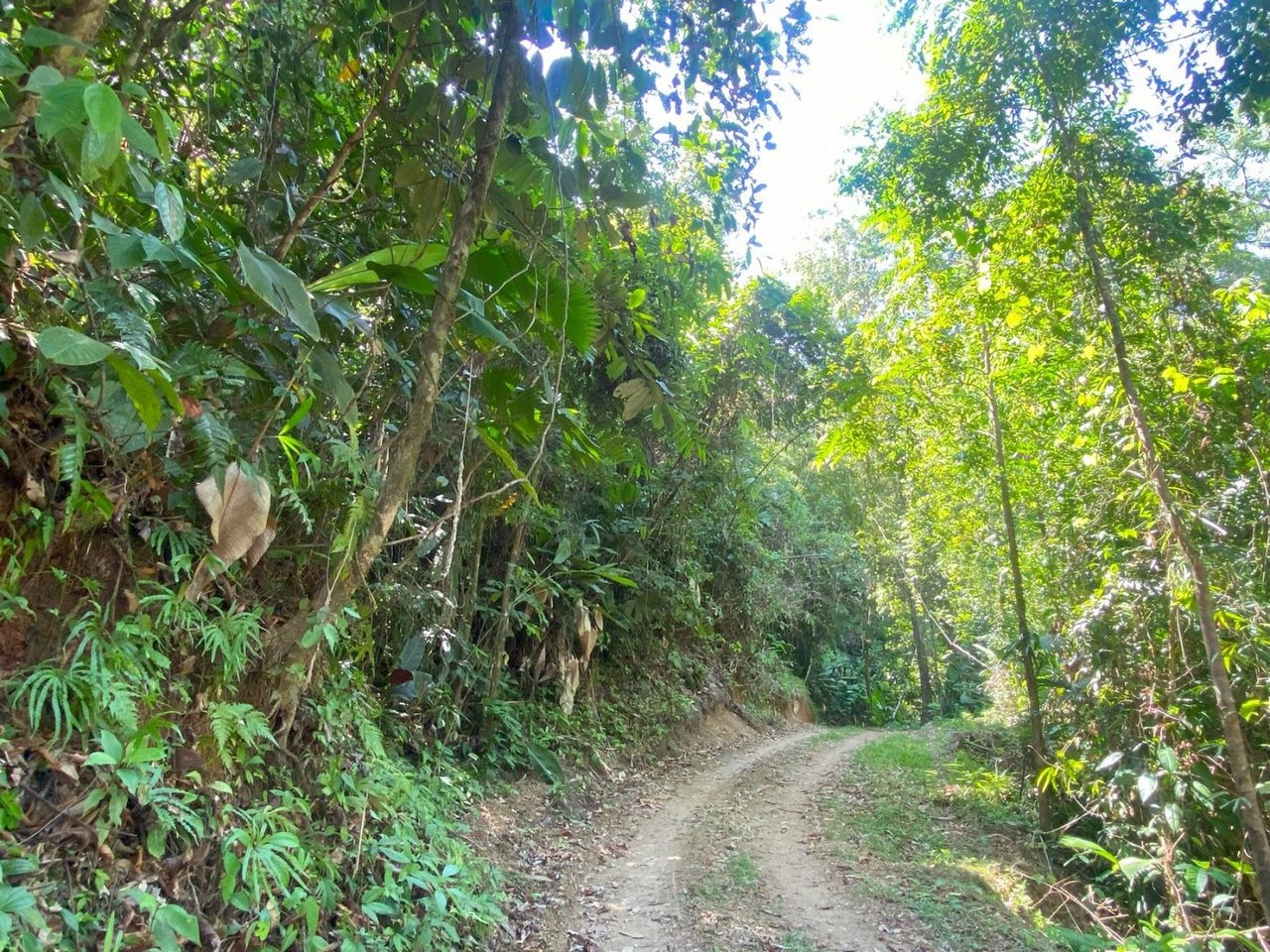Mountain River View Farm, Osa, Puntarenas