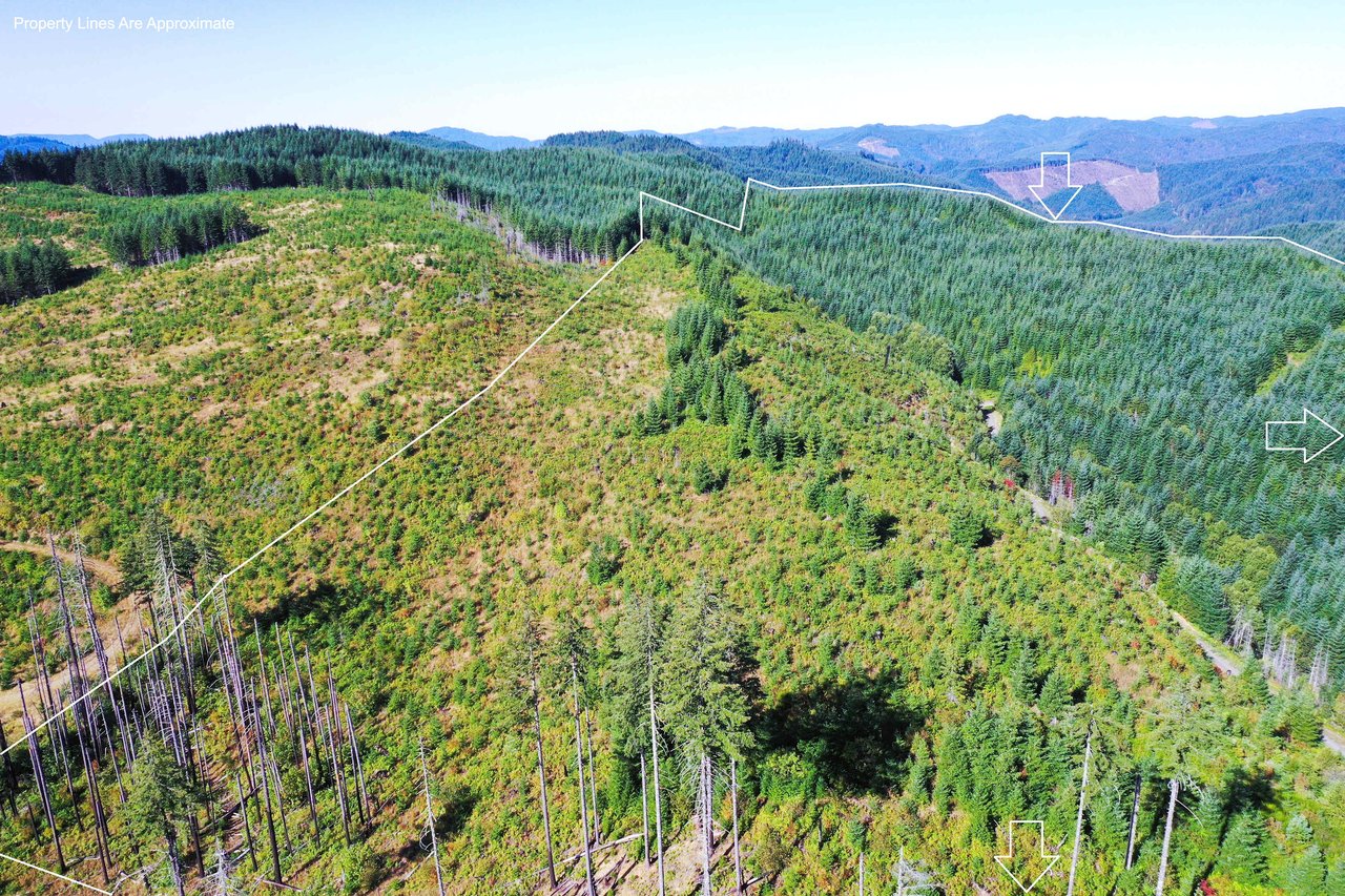 High Pass Tree Farm