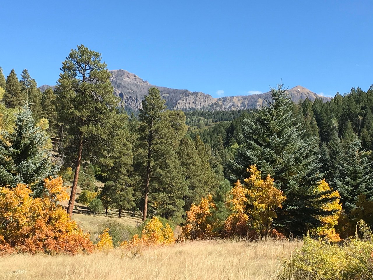 Southern Colorado Riverfront Mountain Ranch