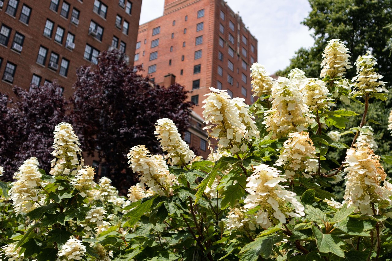 Greenwich Village