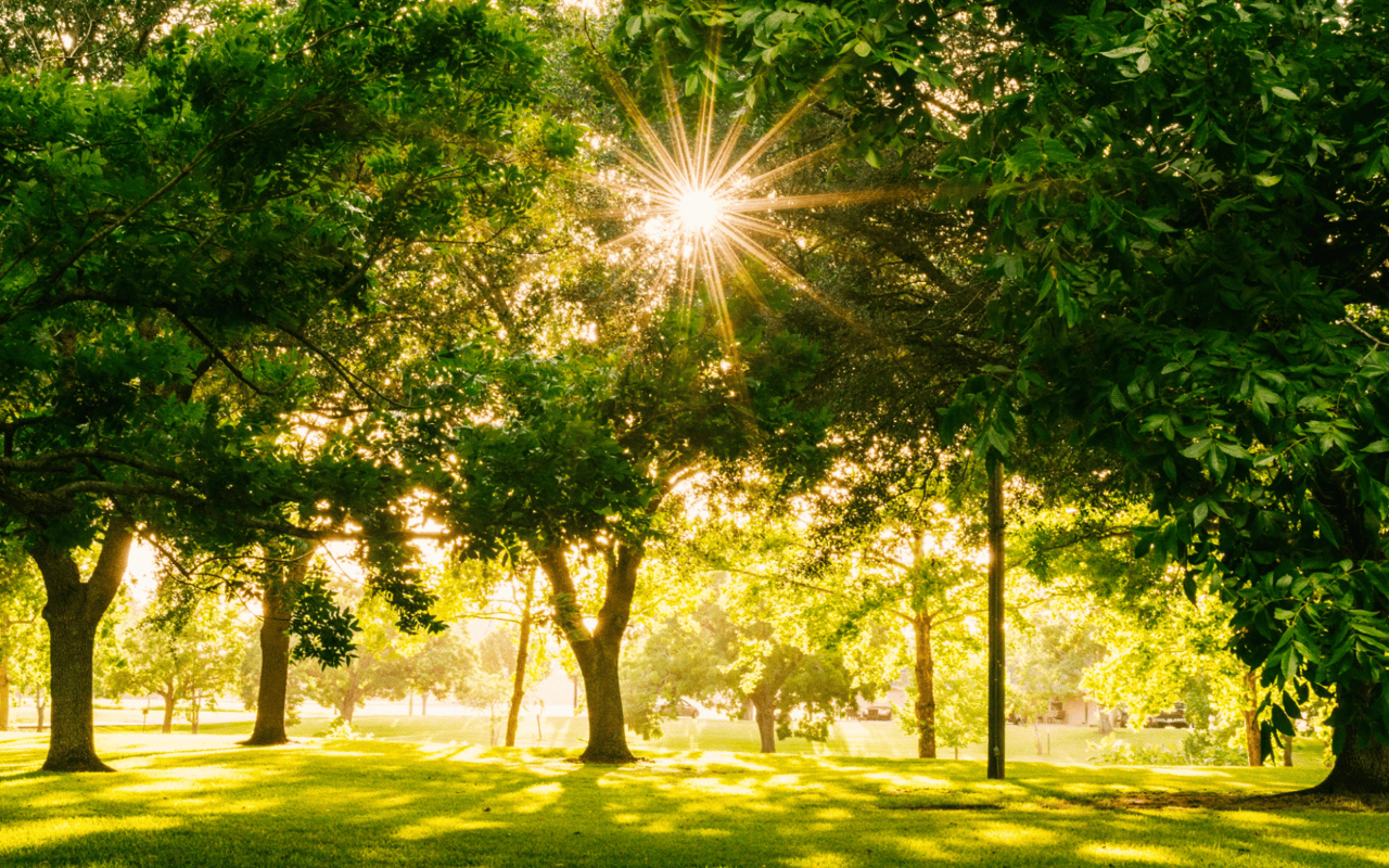 A Guide to Cresskill Parks in NJ: Discovering Green Spaces