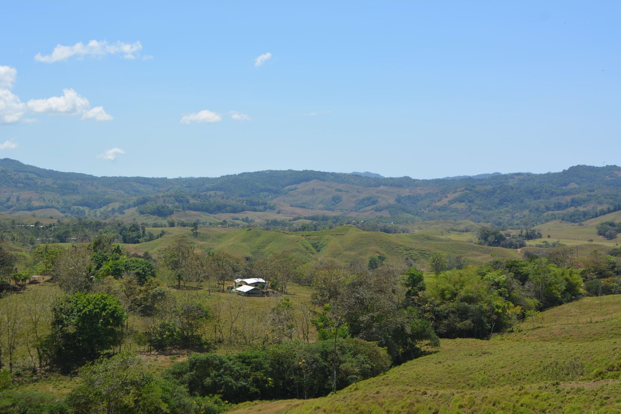 Quiet 3 Bedroom Home On 25 Acres