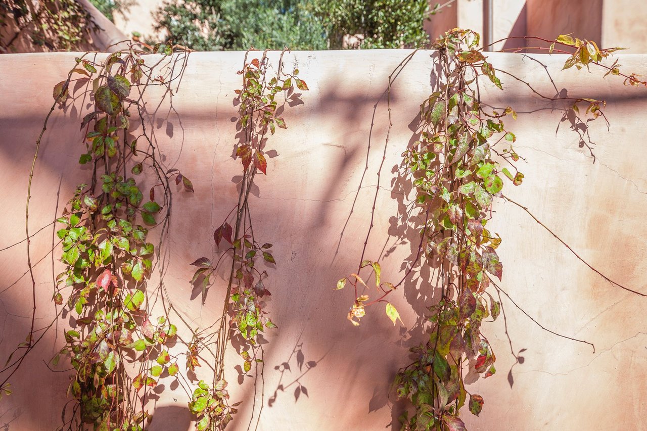 Las Orquideas :: Spanish Revival Compound :: Wilfred Buckland, Architect, 1929 :: Howell + Padgett, Restoration, 2019