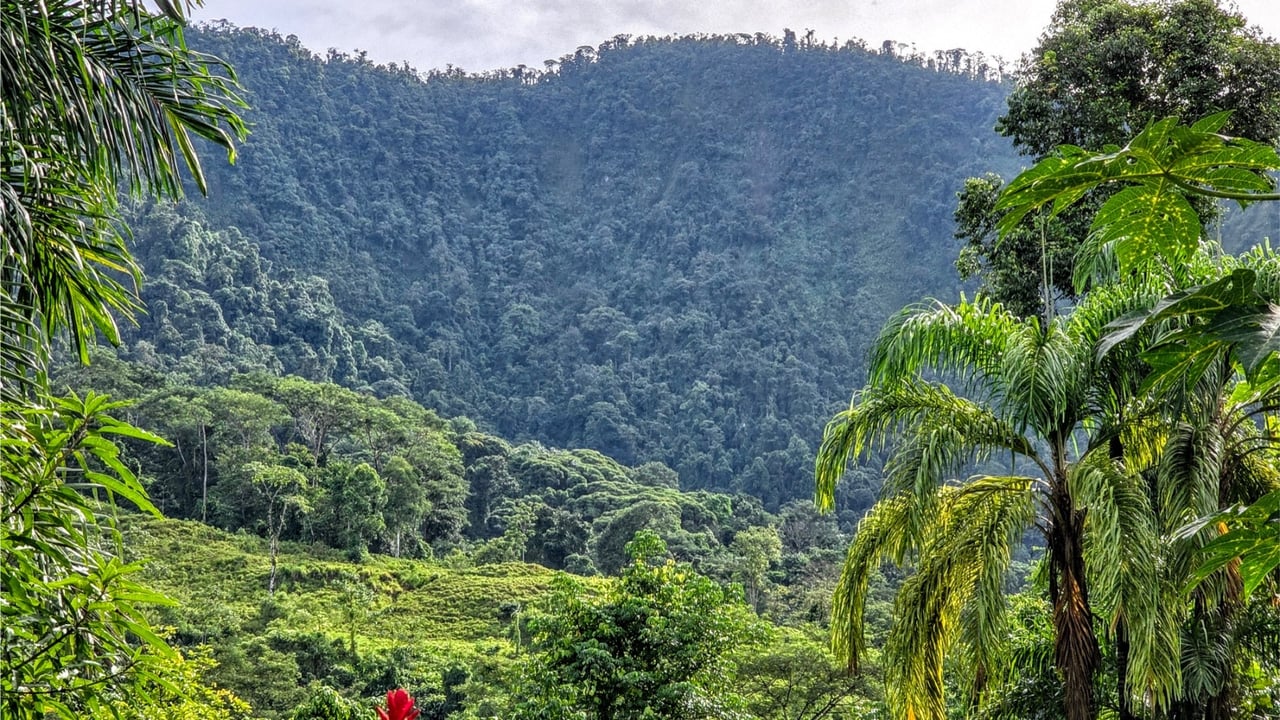 Rainforest Waterfall Acreage Estate, Dominical, Puntarenas