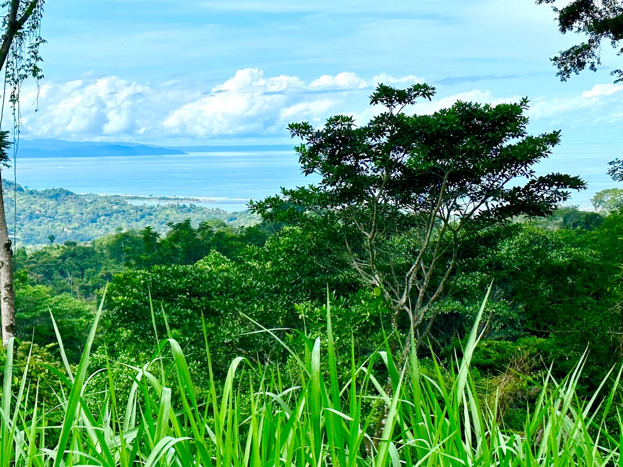 Safe and Private, Amazing Ocean View Lot in a Gated Community!