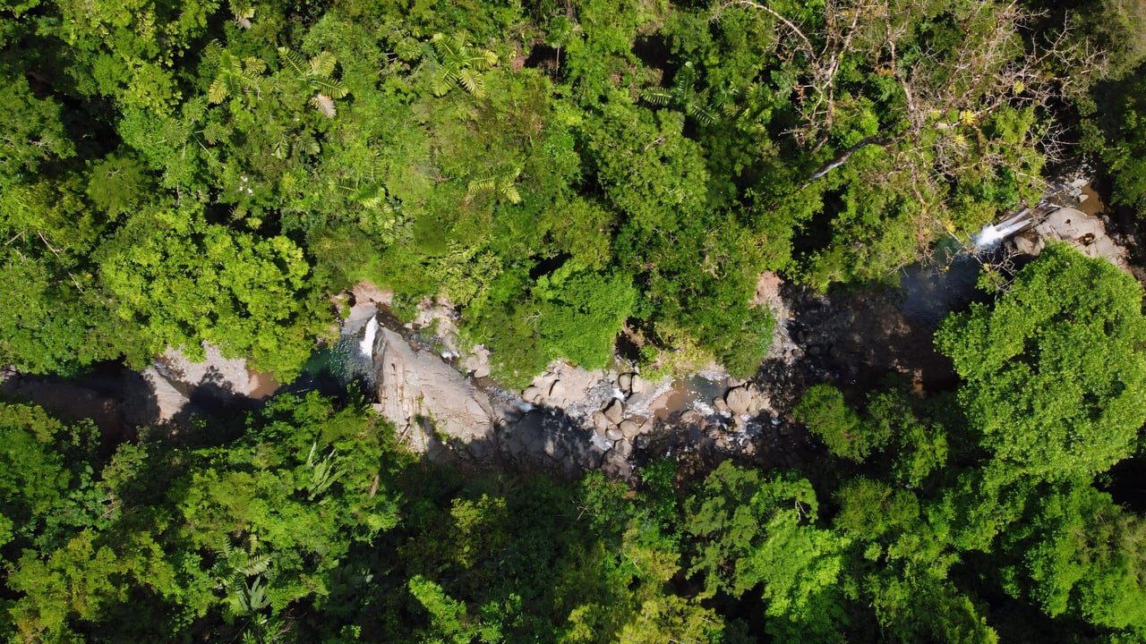 Finca Cerro del Tigre!   Over 20 Acres of Primary Forest and  Waterfalls. 