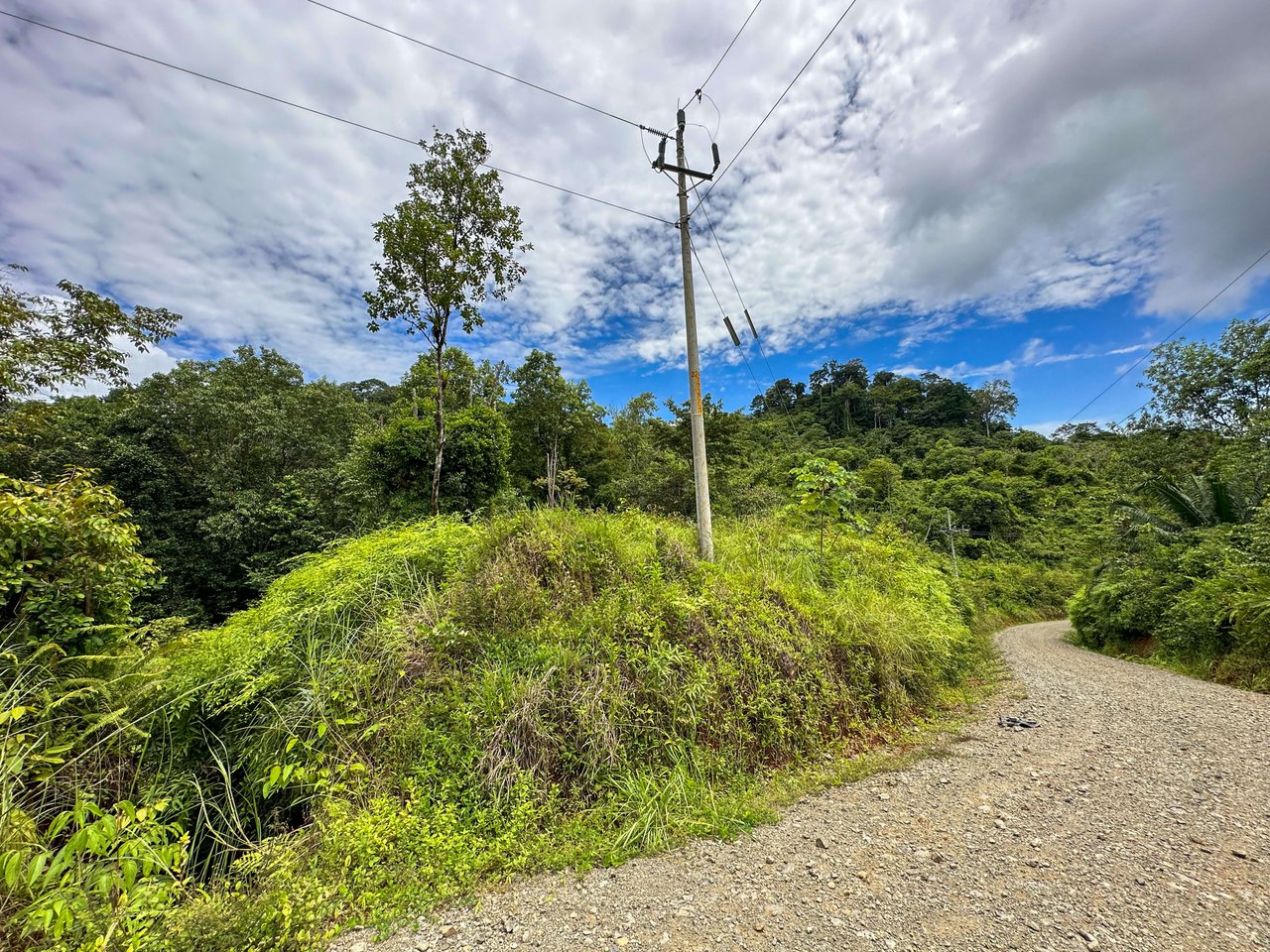 Costa Rican Gem with Conservation Potential: Preserve 26 Acres of Pristine Land