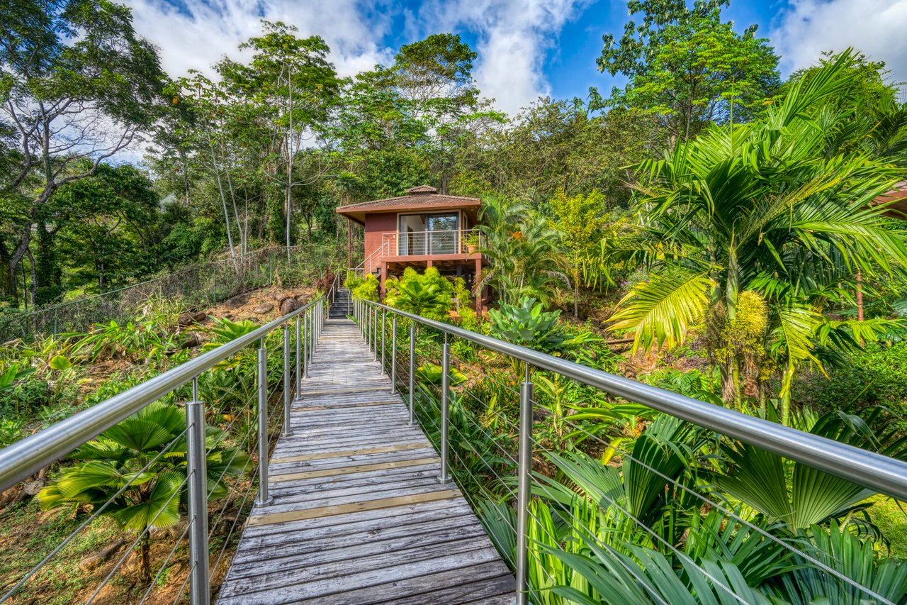 Stunning Ocean Views at Casa Perezoso