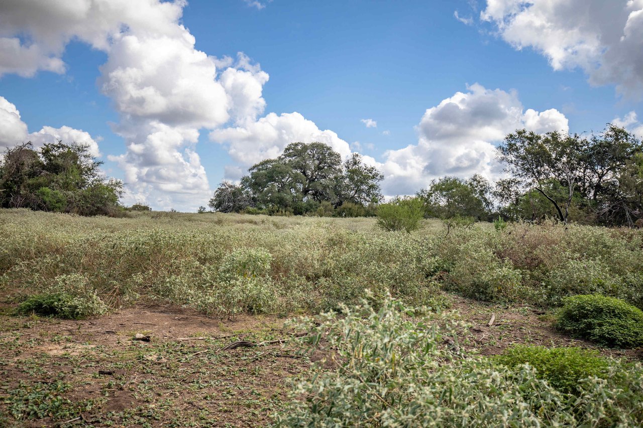Lovers Lane River Ranch | 140± Acres | DeWitt County