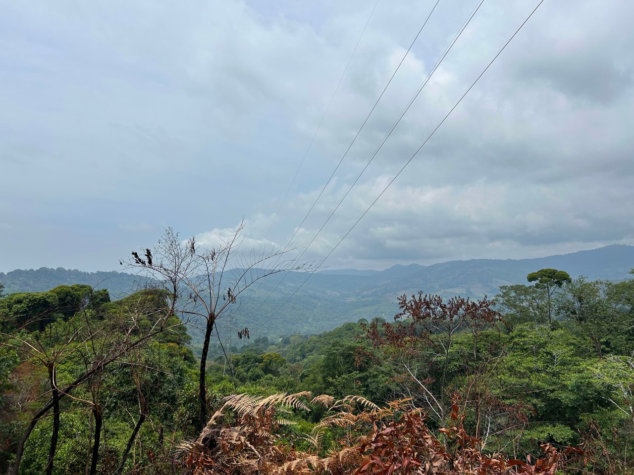 Over 76 Acres in Hatillo Overlooking Playa Linda