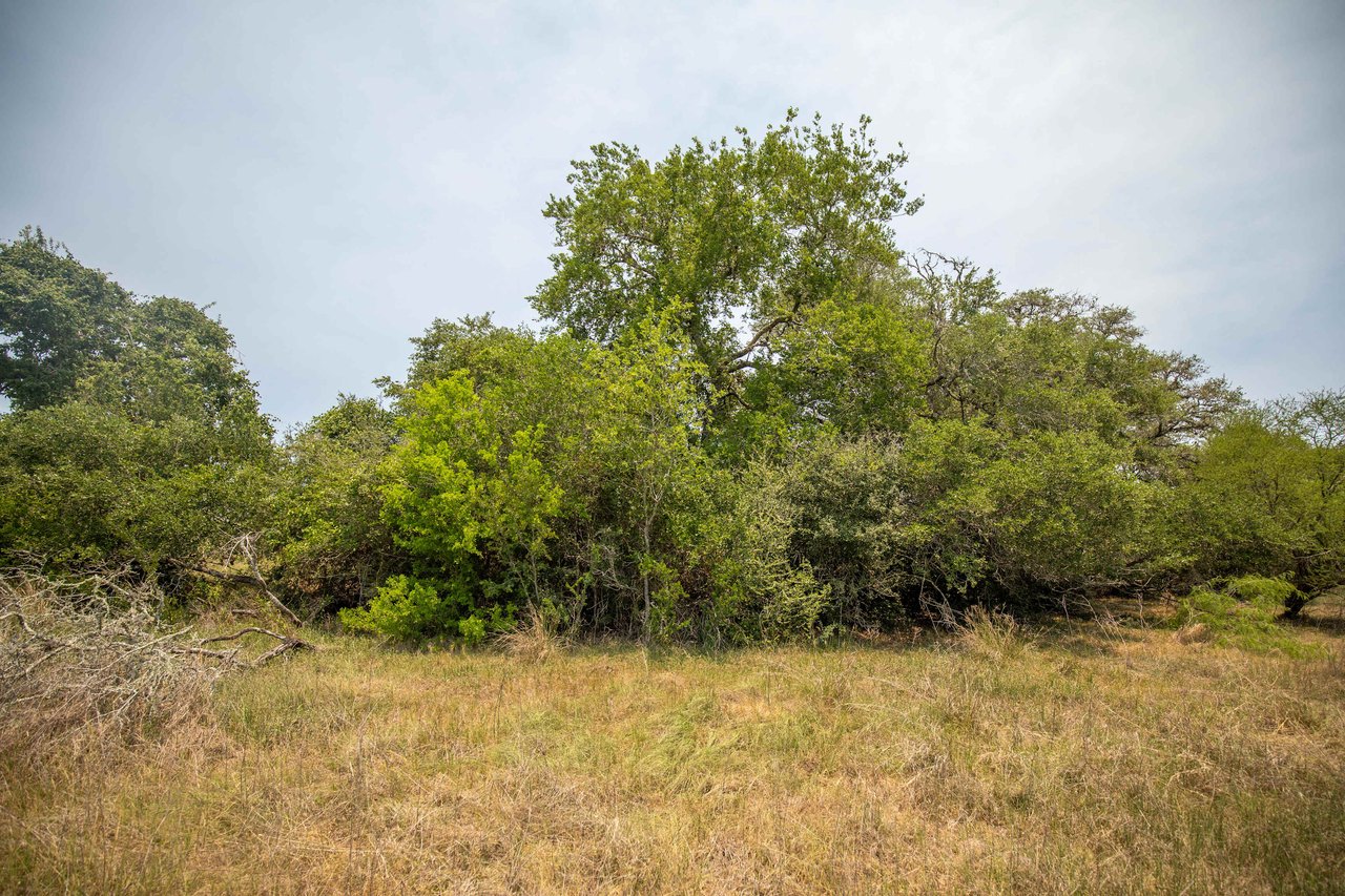 Green DeWitt Rd | 40.82± Acres | DeWitt County