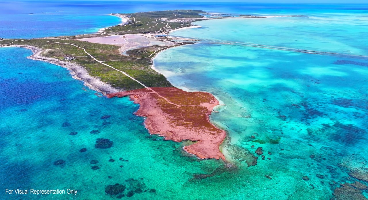 Tarpon Point-Ambergris Cay