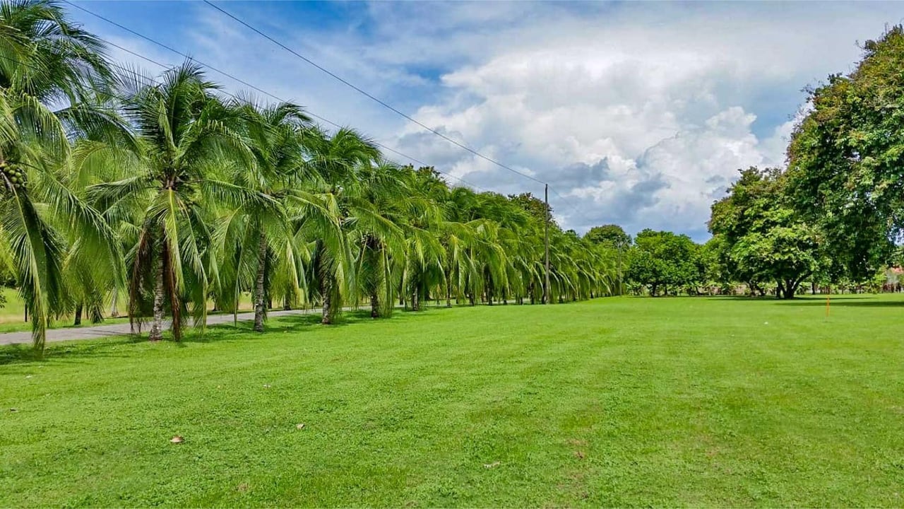Prime Aviation Development Land, Osa, Puntarenas