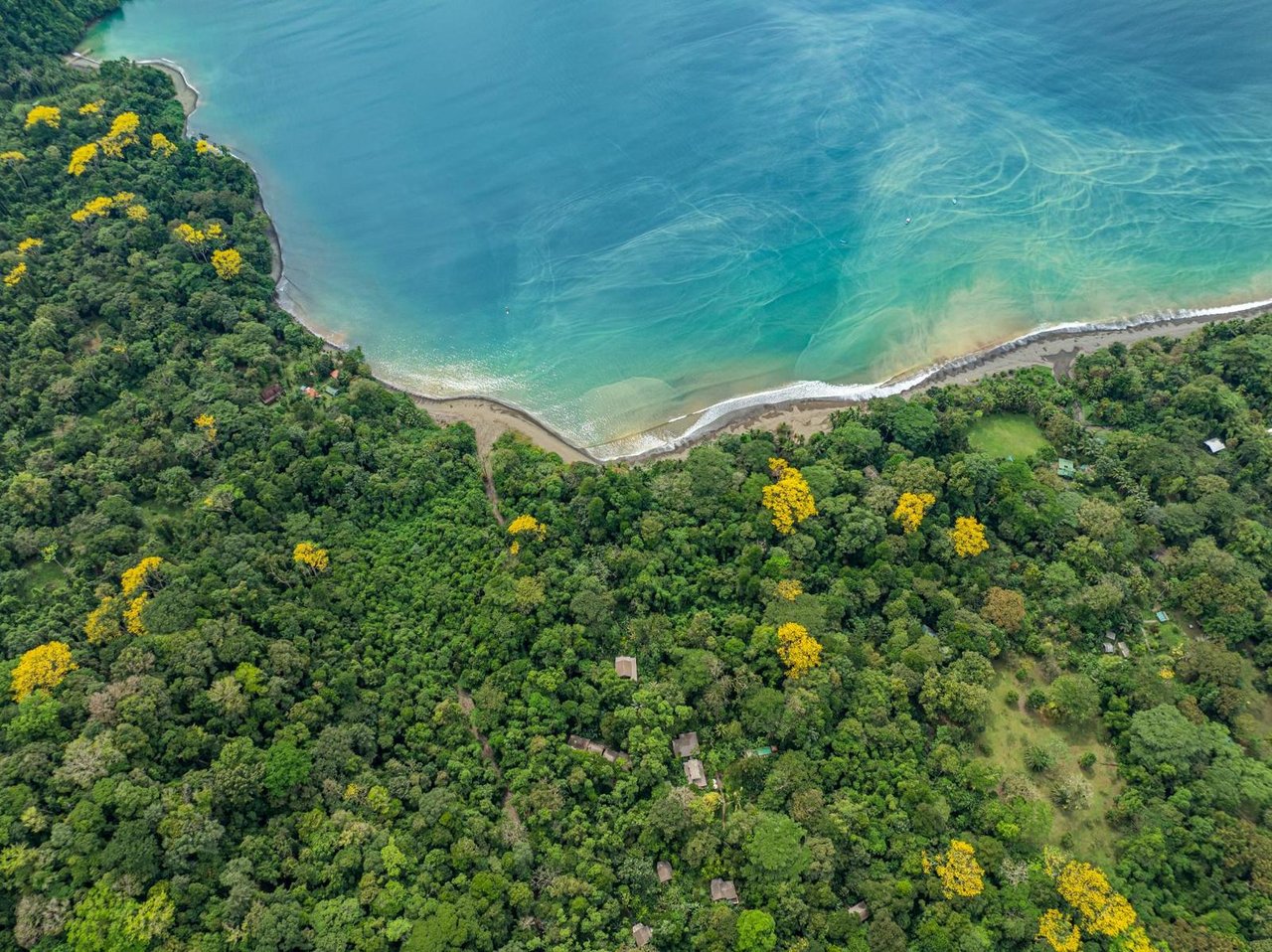 Private Beachfront Rainforest Estate, Osa, Puntarenas